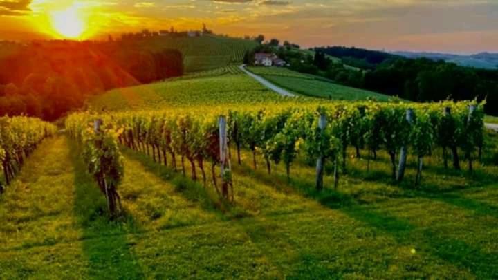 Vakantieboerderij Turisticna Kmetija Puklavec Zasavci