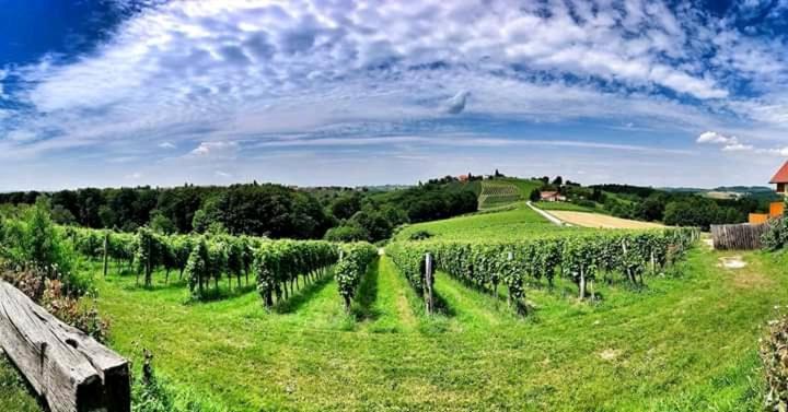 Turisticna Kmetija Puklavec Séjour à la ferme